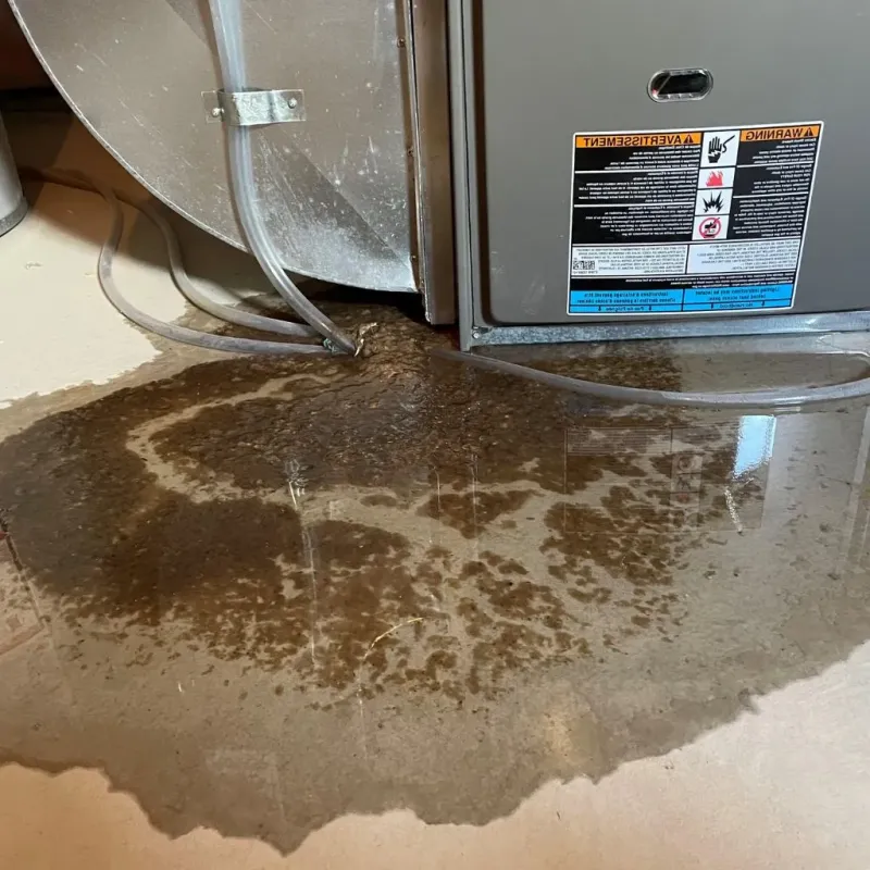 Pipe Burst and Leak Restoration in Onancock, VA