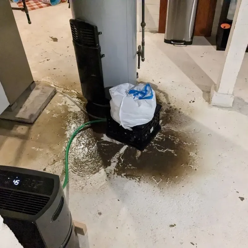 Sewage Backup Cleanup Service in Onancock, VA
